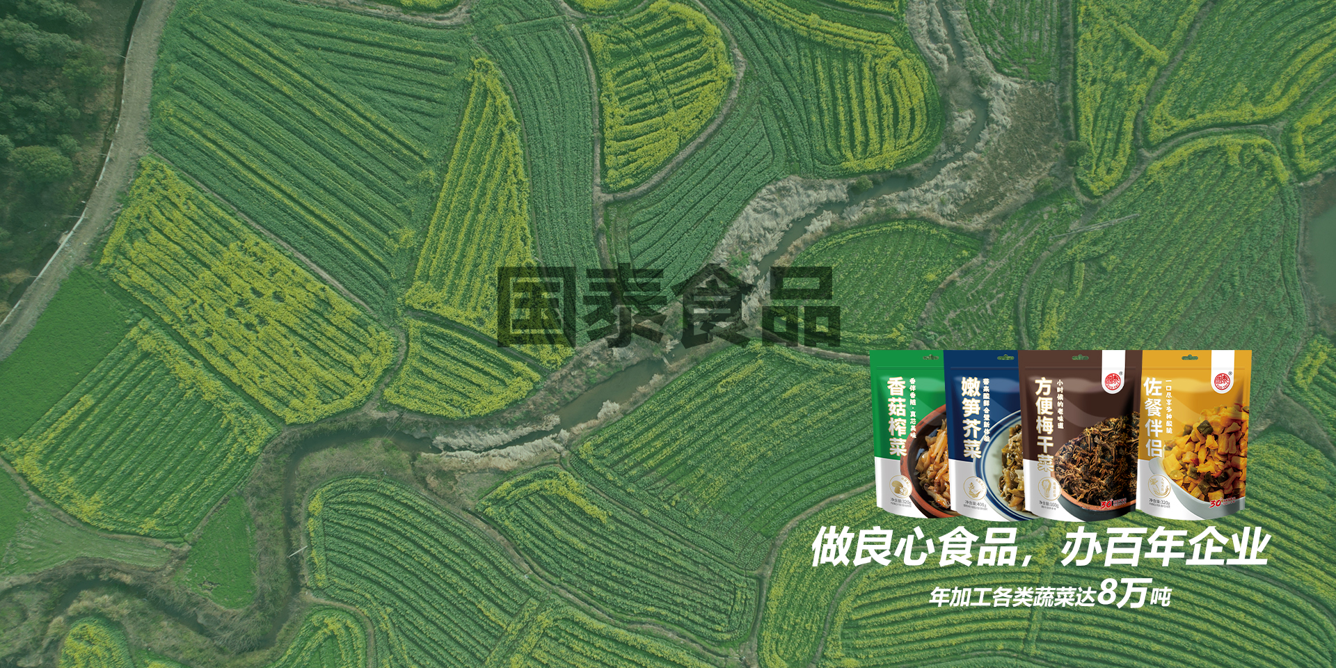 湖南國(guó)泰食品有限公司